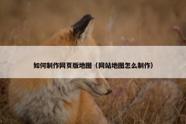 如何制作网页版地图（网站地图怎么制作）-第1张图片-冷动云