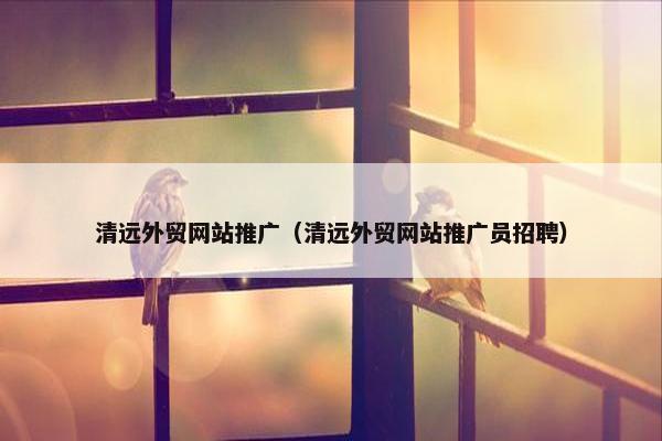 清远外贸网站推广（清远外贸网站推广员招聘）-第1张图片-冷动云