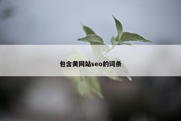 包含黄网站seo的词条-第1张图片-冷动云