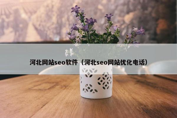 河北网站seo软件（河北seo网站优化电话）-第1张图片-冷动云