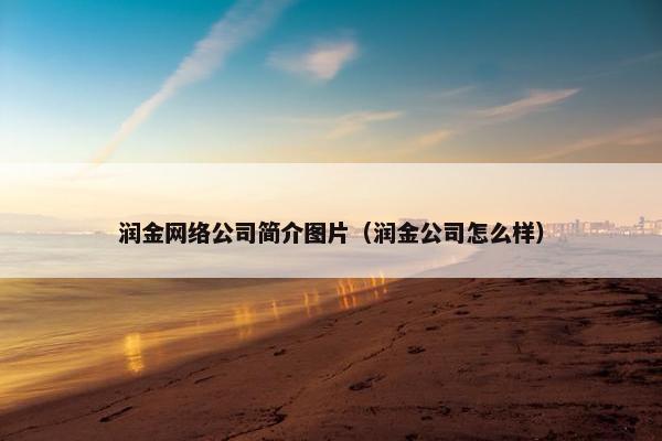 润金网络公司简介图片（润金公司怎么样）-第1张图片-冷动云