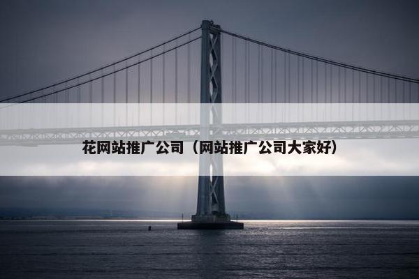 花网站推广公司（网站推广公司大家好）-第1张图片-冷动云