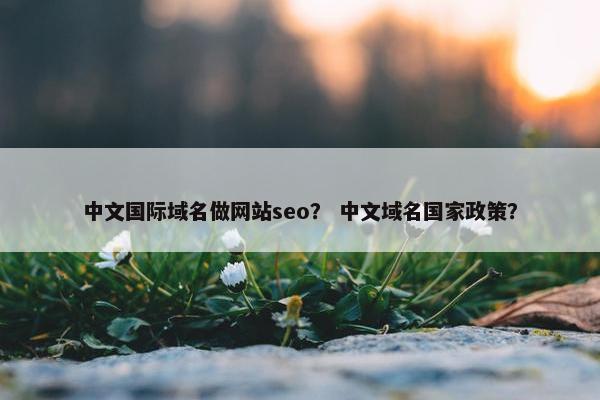 中文国际域名做网站seo？ 中文域名国家政策？-第1张图片-冷动云