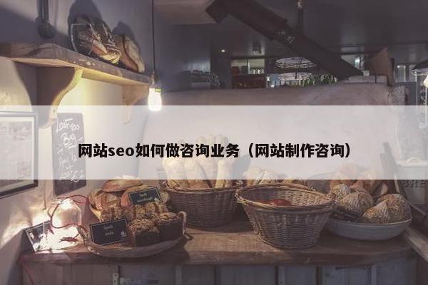 网站seo如何做咨询业务（网站制作咨询）-第1张图片-冷动云