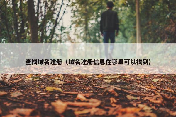 查找域名注册（域名注册信息在哪里可以找到）-第1张图片-冷动云