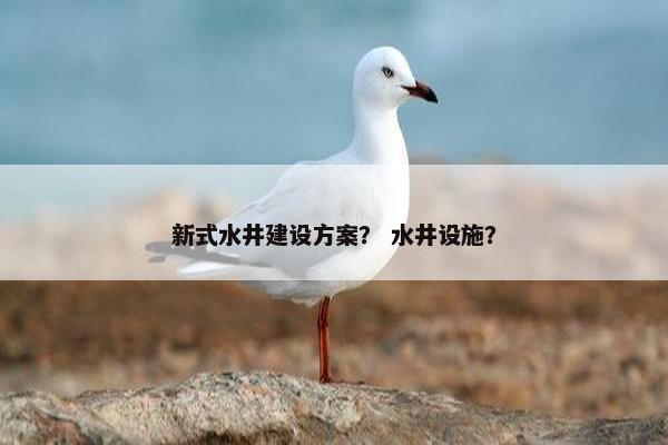 新式水井建设方案？ 水井设施？-第1张图片-冷动云