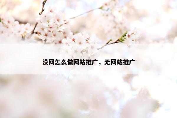 没网怎么做网站推广，无网站推广-第1张图片-冷动云