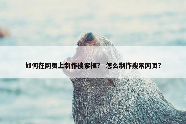 如何在网页上制作搜索框？ 怎么制作搜索网页？-第1张图片-冷动云