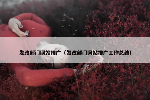 发改部门网站推广（发改部门网站推广工作总结）-第1张图片-冷动云