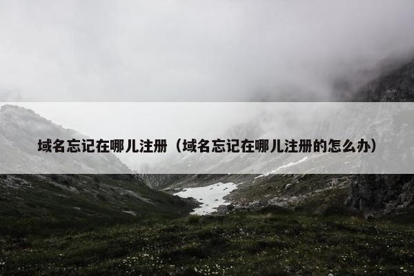 域名忘记在哪儿注册（域名忘记在哪儿注册的怎么办）-第1张图片-冷动云