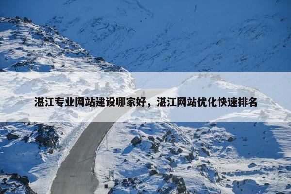 湛江专业网站建设哪家好，湛江网站优化快速排名-第1张图片-冷动云