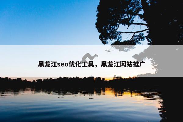黑龙江seo优化工具，黑龙江网站推广-第1张图片-冷动云