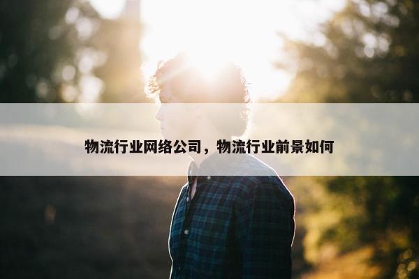 物流行业网络公司，物流行业前景如何-第1张图片-冷动云
