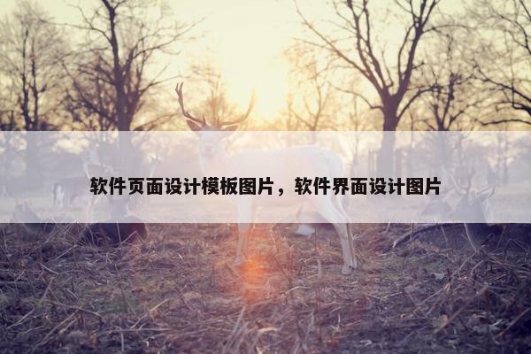 软件页面设计模板图片，软件界面设计图片-第1张图片-冷动云