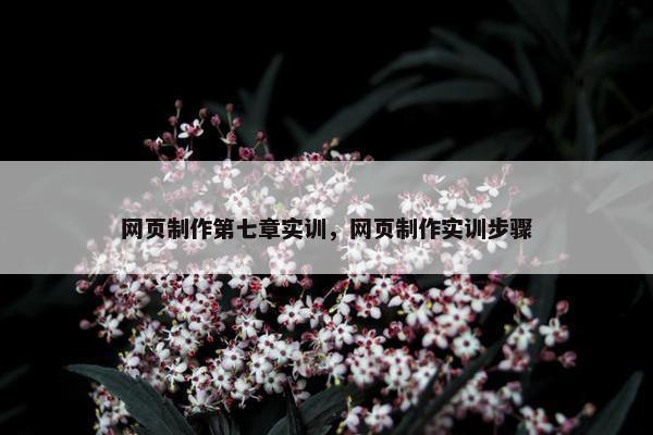 网页制作第七章实训，网页制作实训步骤-第1张图片-冷动云