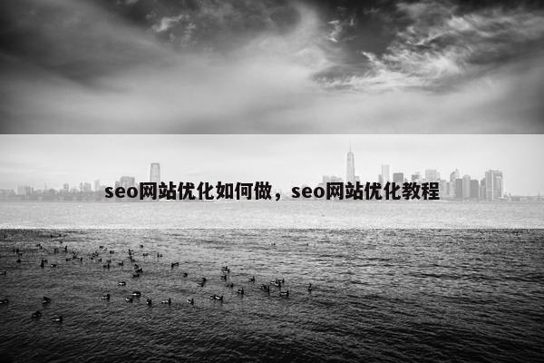 seo网站优化如何做，seo网站优化教程-第1张图片-冷动云