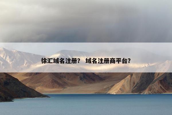 徐汇域名注册？ 域名注册商平台？-第1张图片-冷动云