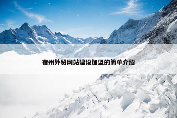 宿州外贸网站建设加盟的简单介绍-第1张图片-冷动云