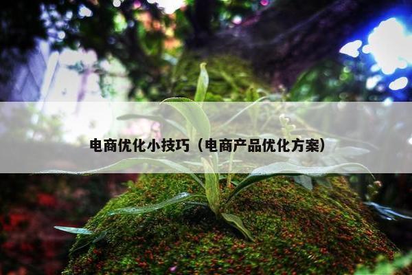 电商优化小技巧（电商产品优化方案）-第1张图片-冷动云