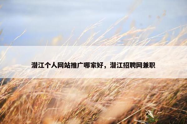 潜江个人网站推广哪家好，潜江招聘网兼职-第1张图片-冷动云