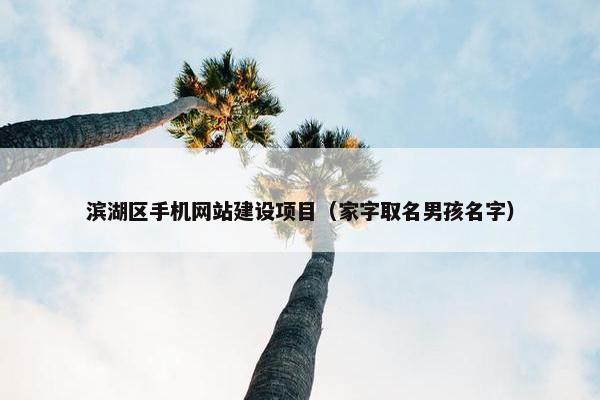 滨湖区手机网站建设项目（家字取名男孩名字）-第1张图片-冷动云