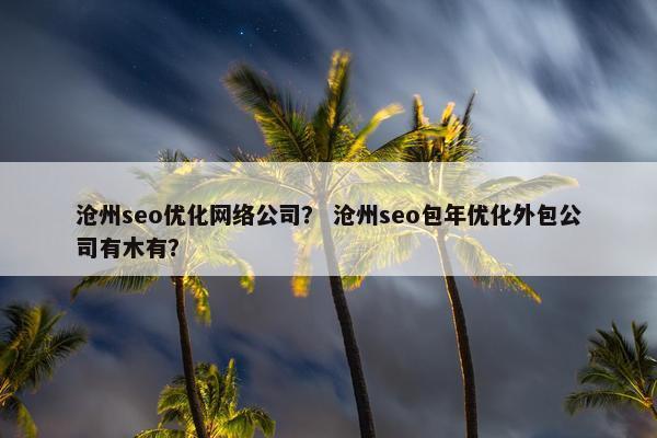 沧州seo优化网络公司？ 沧州seo包年优化外包公司有木有？-第1张图片-冷动云