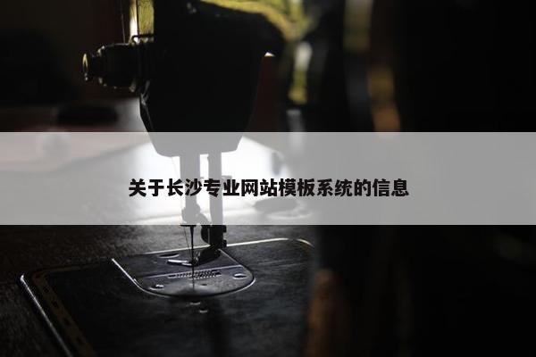 关于长沙专业网站模板系统的信息-第1张图片-冷动云
