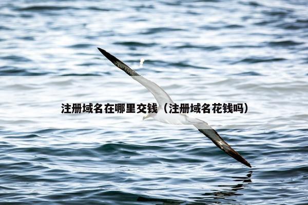 注册域名在哪里交钱（注册域名花钱吗）-第1张图片-冷动云