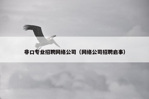 非口专业招聘网络公司（网络公司招聘启事）-第1张图片-冷动云
