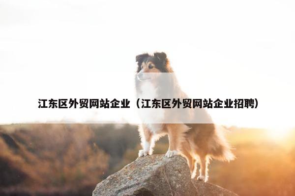 江东区外贸网站企业（江东区外贸网站企业招聘）-第1张图片-冷动云