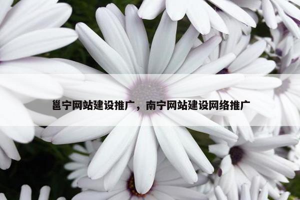 邕宁网站建设推广，南宁网站建设网络推广-第1张图片-冷动云