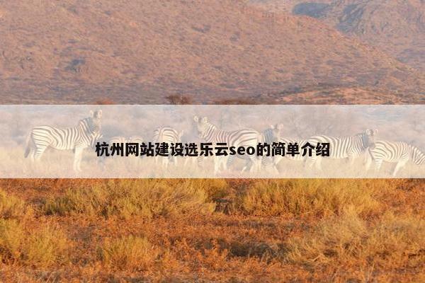 杭州网站建设选乐云seo的简单介绍-第1张图片-冷动云