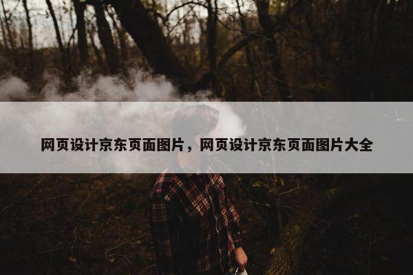 网页设计京东页面图片，网页设计京东页面图片大全-第1张图片-冷动云