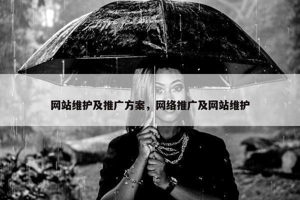网站维护及推广方案，网络推广及网站维护-第1张图片-冷动云