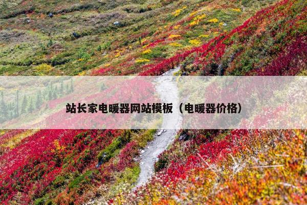 站长家电暖器网站模板（电暖器价格）-第1张图片-冷动云