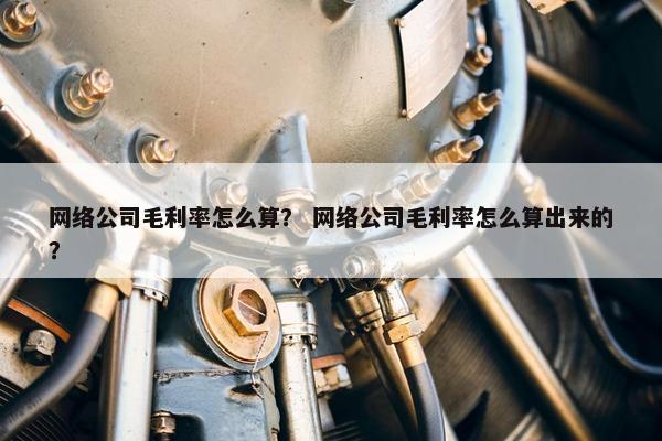 网络公司毛利率怎么算？ 网络公司毛利率怎么算出来的？-第1张图片-冷动云