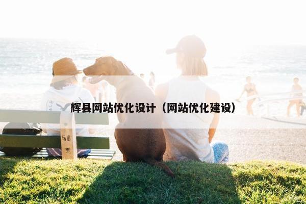 辉县网站优化设计（网站优化建设）-第1张图片-冷动云