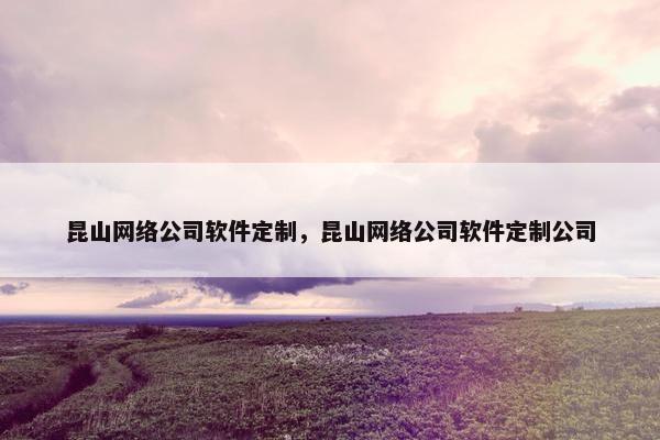 昆山网络公司软件定制，昆山网络公司软件定制公司-第1张图片-冷动云