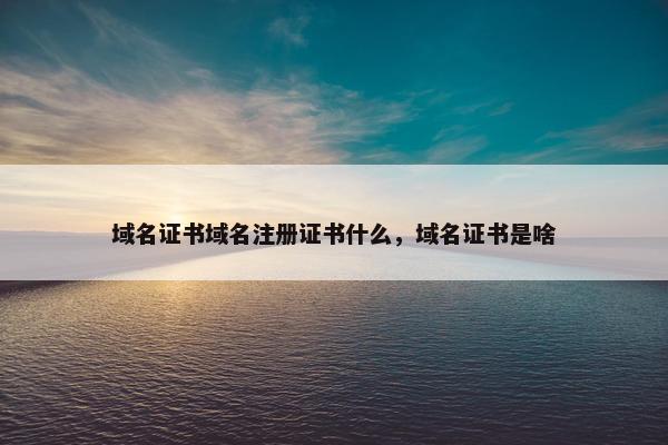 域名证书域名注册证书什么，域名证书是啥-第1张图片-冷动云