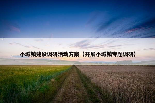 小城镇建设调研活动方案（开展小城镇专题调研）-第1张图片-冷动云