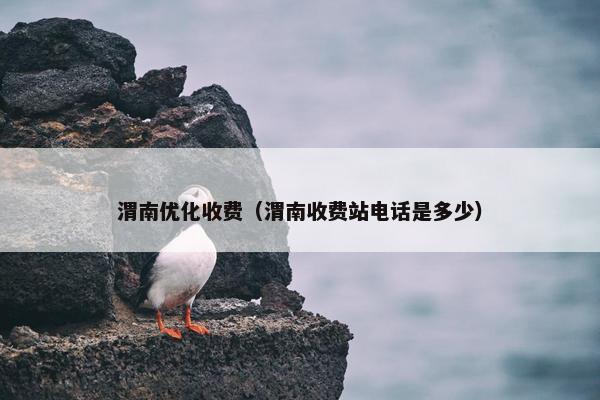 渭南优化收费（渭南收费站电话是多少）-第1张图片-冷动云