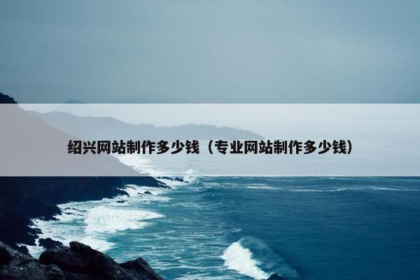 绍兴网站制作多少钱（专业网站制作多少钱）-第1张图片-冷动云