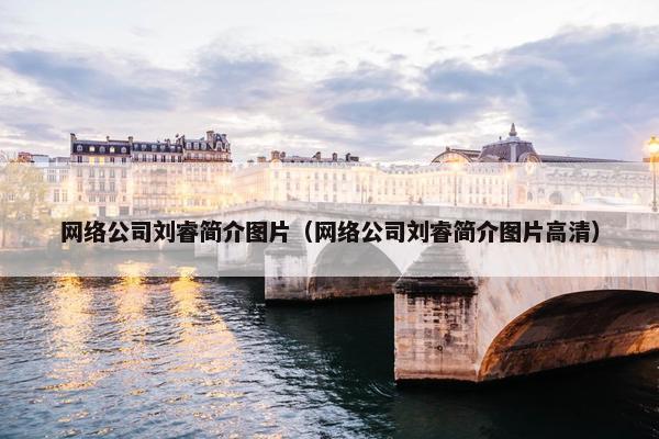 网络公司刘睿简介图片（网络公司刘睿简介图片高清）-第1张图片-冷动云
