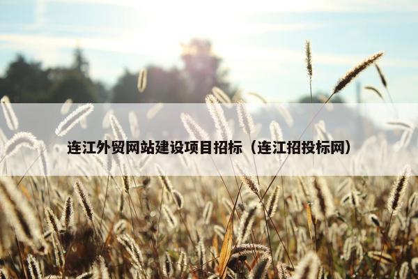 连江外贸网站建设项目招标（连江招投标网）-第1张图片-冷动云