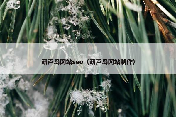 葫芦岛网站seo（葫芦岛网站制作）-第1张图片-冷动云