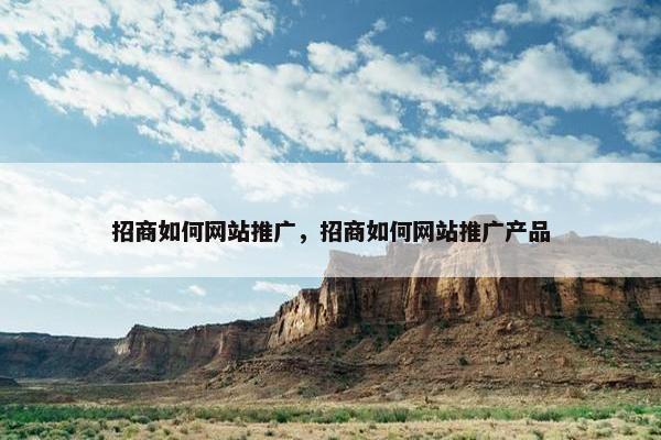 招商如何网站推广，招商如何网站推广产品-第1张图片-冷动云