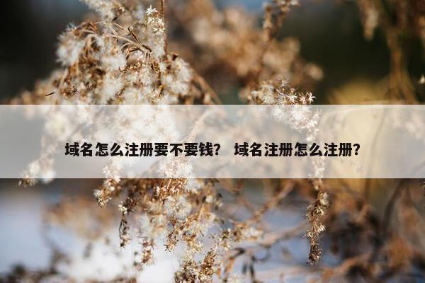 域名怎么注册要不要钱？ 域名注册怎么注册？-第1张图片-冷动云