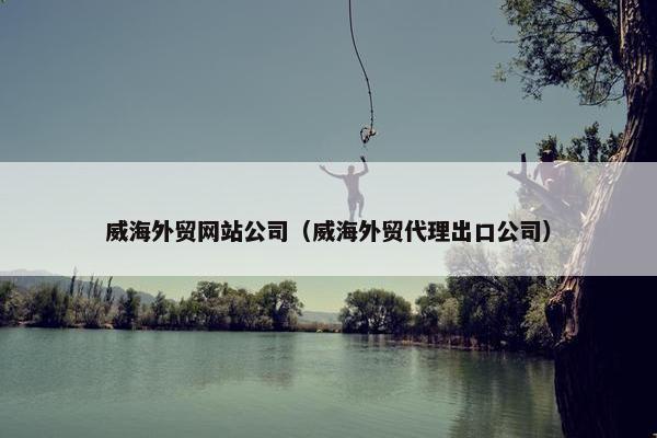 威海外贸网站公司（威海外贸代理出口公司）-第1张图片-冷动云