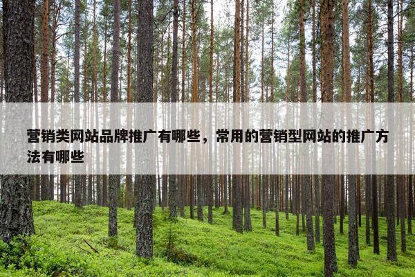 营销类网站品牌推广有哪些，常用的营销型网站的推广方法有哪些-第1张图片-冷动云