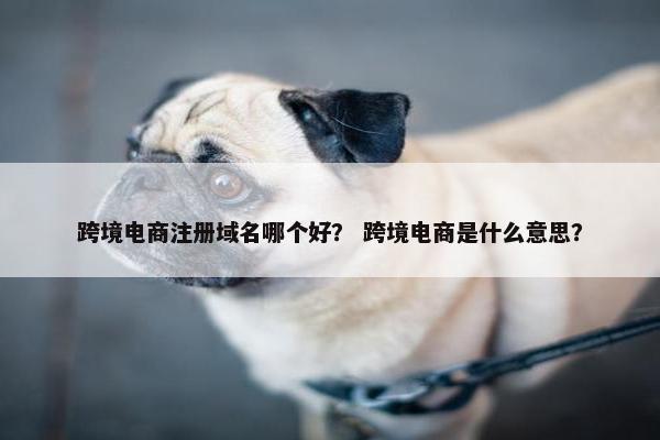 跨境电商注册域名哪个好？ 跨境电商是什么意思？-第1张图片-冷动云